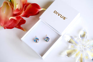 Leverback earrings by DIVUS India