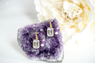 divus leverback earrings 